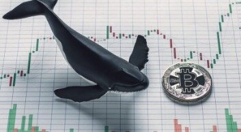 bitcoin whales